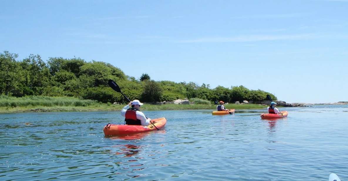 Biddeford Pool: Half Day Kayak or SUP Rental - Rental Details