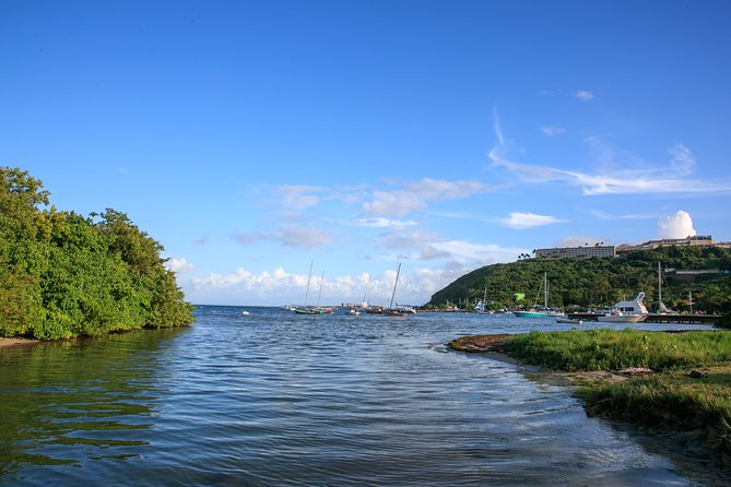 Bio Bay Night Kayaking With Transport From San Juan - Tour Details