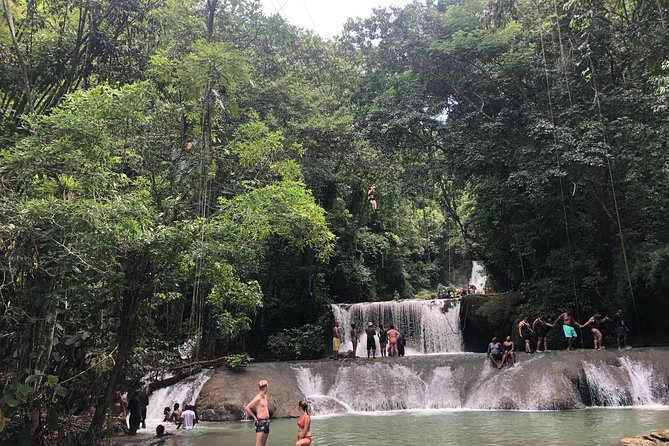 Black River Safari and YS Falls - Enjoying the Ziplining Adventure