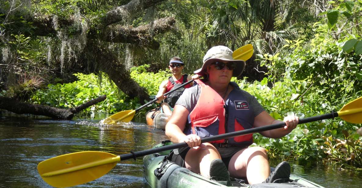 Blackwater Creek: Exclusive Nature Escape Kayak Adventure - Experience Highlights