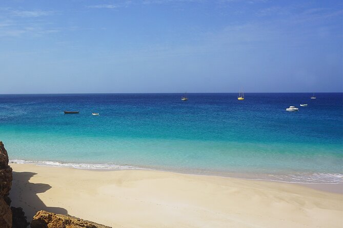 Boa Vista Tour: Santa Monica, Shark, Turtle, Desert & Shipwreck - Boa Vista Island Highlights