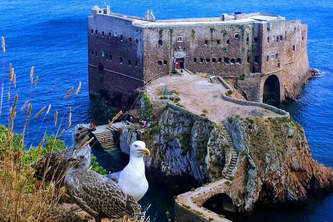 Boat and Kayak at Berlenga Natural Reserve - Inclusions in the Tour