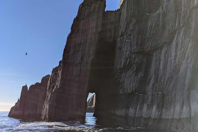 Boat Tour of Dingle Peninsula - Pricing