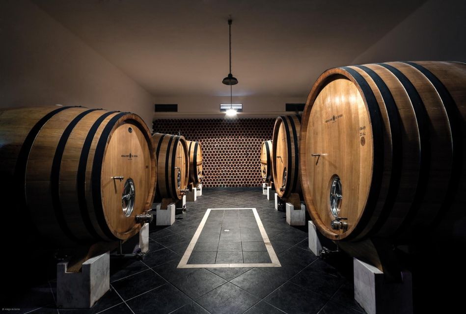 Borba: Winery Tours and Amphora Wine and Snacks Tasting - Visiting the Winery