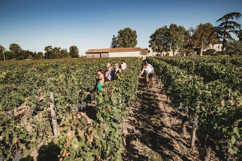 Bordeaux: St-Emilion and Medoc Wine Day Tour With Lunch - Guided Tour of St-Emilion