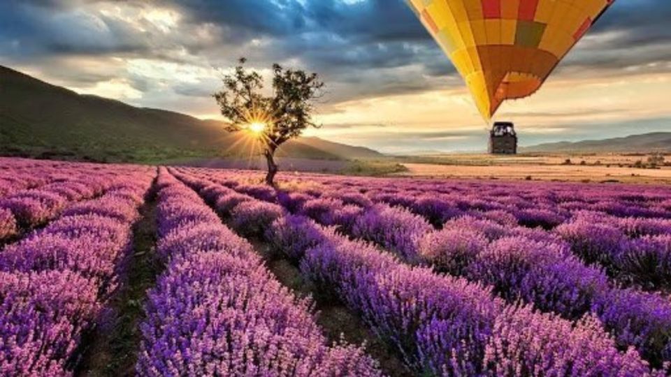 Brihuega: Balloon Flight Above Lavender Fields - Experienced Pilots and Ground Crew