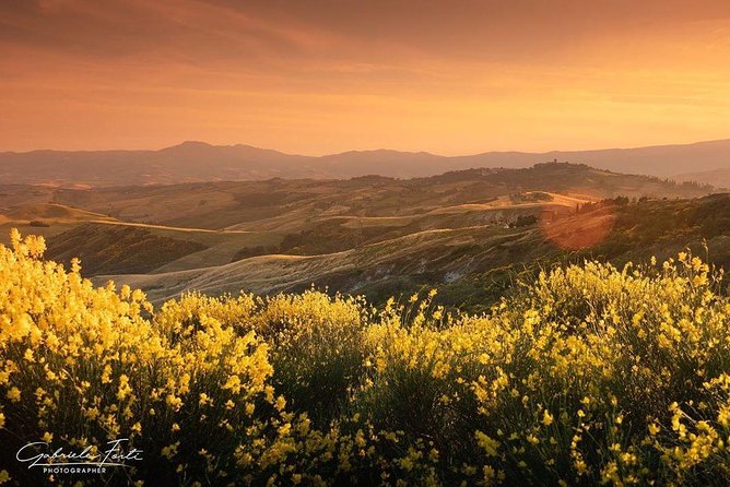 Brunello Wine Tour and Val D'orcia Landscape - Scenic Drive Through Val Dorcia