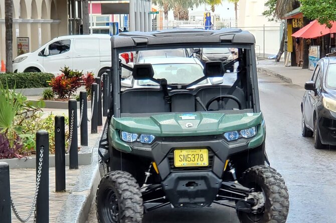 Buggy Tours, Sightseeing City Tour Nassau, Paradise Island - Accessibility and Suitability