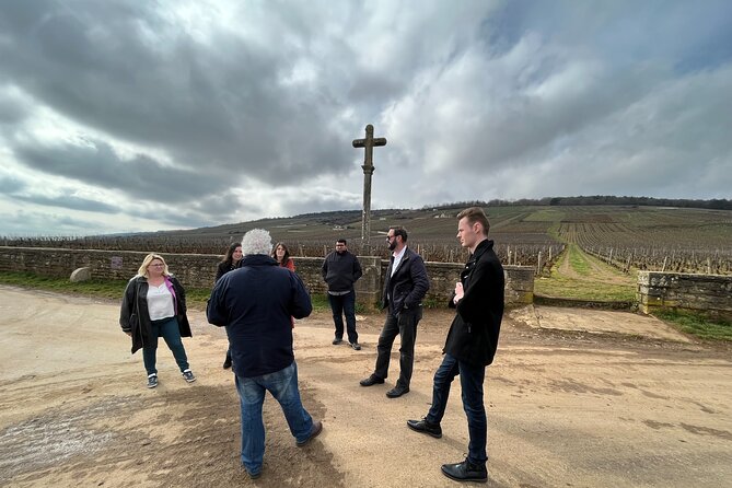 Burgundy Grand Crus Route Day Tour - 12 Wines Tastings in Domains - Included in the Tour