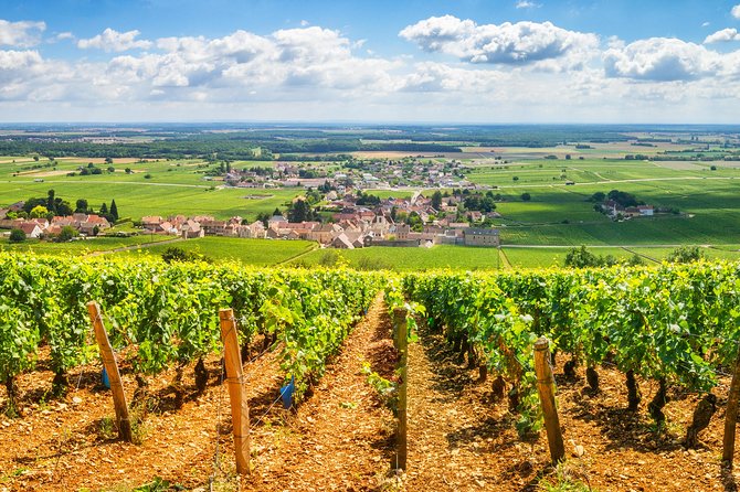 Burgundy Wine Tasting Small-Group Tour in Chablis From Paris - Transportation and Inclusions