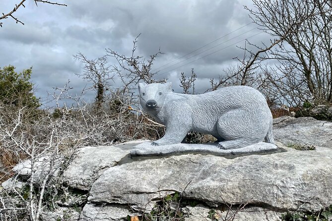 Burren Nature Sanctuary - Pre-Booked Admission Details