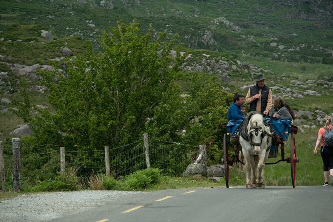 Bus, Boat & Jaunting Cart Tour (Jaunting Cart Paid Separately) - Additional Considerations