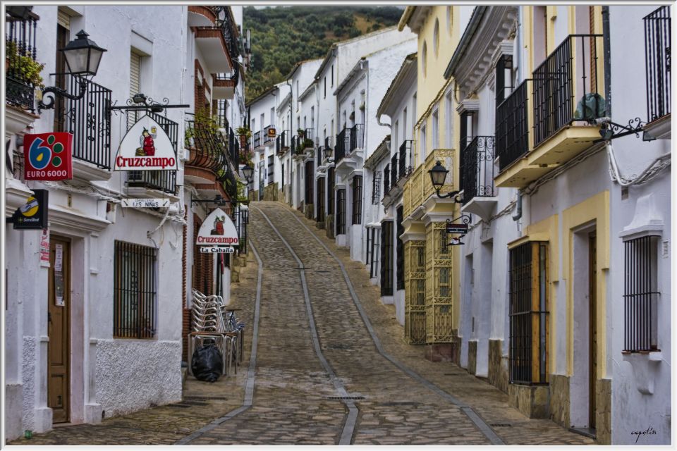 Cadiz: City Tour With Private Vehicle and Guide - Savoring the Central Markets Culinary Delights