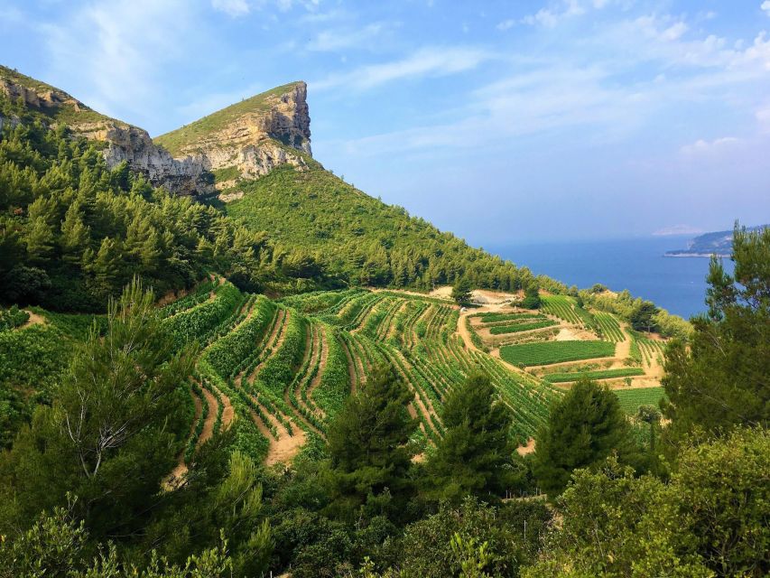 Calanques Of Cassis, the Village and Wine Tasting - Highlights of the Boat Tour