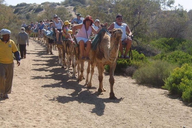 Camel Riding in Maspalomas Dunes - Accessibility and Accommodations