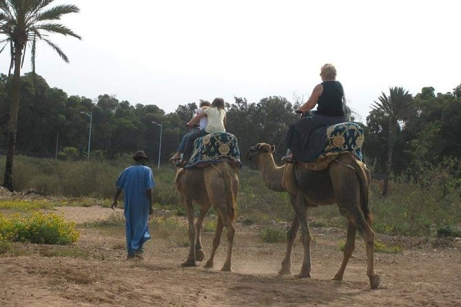 Camel Riding - Participation Guidelines