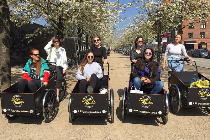 Cargo Bikes and the Science of Happiness (Small Group, Winter Edition) - Personalized Attention and Multilingual Guides