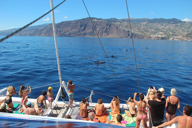 Catamaran Sunset Cruise From Funchal - Additional Information