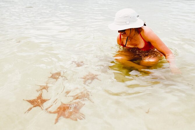 Cayman Private Luxury Charters - Stingray City, Snorkel, & More - Tour Details and Accessibility