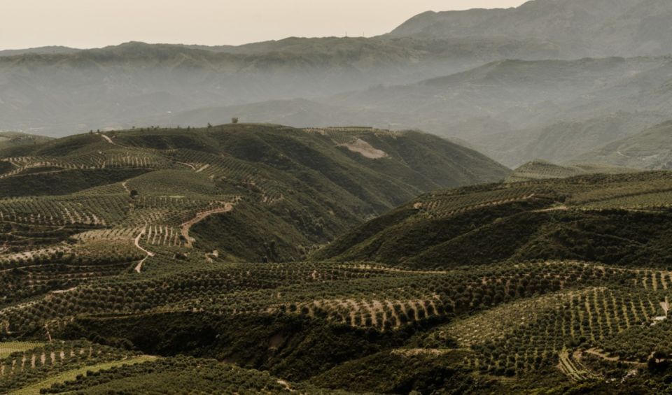 Chania Luxury Jeep Safaris: Manousakis Vineyard & Winery - Panoramic Views of Chania