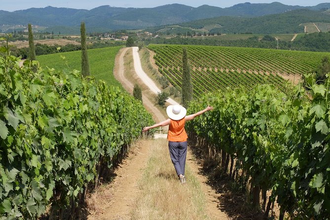 Chianti Half-Day Wine Tour in the Tuscan Hills Small Group From Lucca - Tour Inclusions