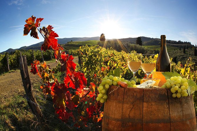 Chianti Half-Day Wine Tour in the Tuscans Hills From Pisa - Meeting Point and Pickup