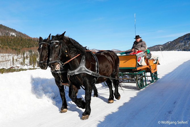 Christmas Horse-Drawn Sleigh Ride From Salzburg - Approx. 2-Hour Sleigh Ride Experience