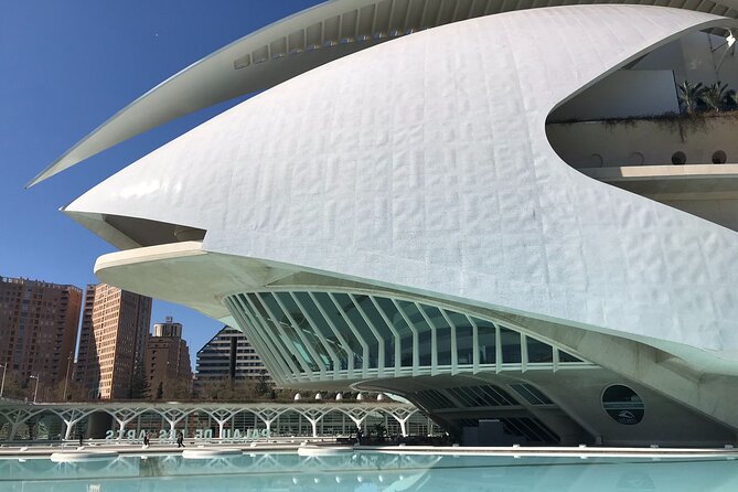 CITY OF ARTS & SCIENCES | Private Guided Tour on Bike or E-Step - Accessibility and Conditions