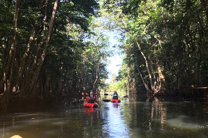 Coastal and River Kayaking Adventure at Marigot Bay - Group Size and Capacity