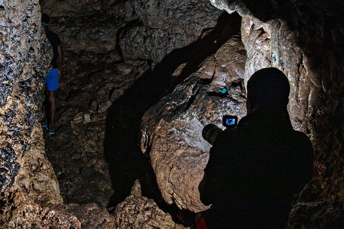 Coles Cave Hike - Guided Walk Through Gully