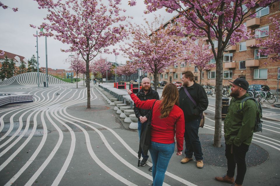 Copenhagen: Nørrebro Neighborhood Tour - Cultural Insights