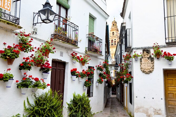 Cordoba Mosque-Cathedral & City Private Tour - Cancellation Policy