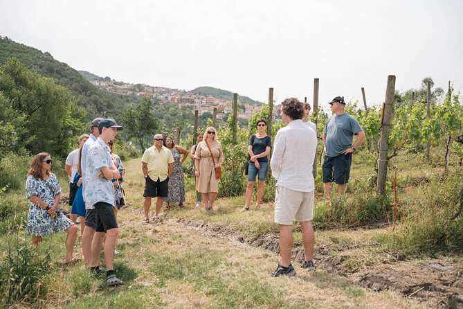 Cortecorbo Winery: Pizza Cooking Class, Lunch & Wine Tasting - Savoring the Irpinian Culinary Delights