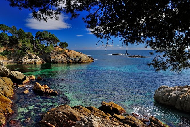 Costa Brava Small Group With Hotel Pick-Up and Boat Ride - Swimming in the Coves of Costa Brava