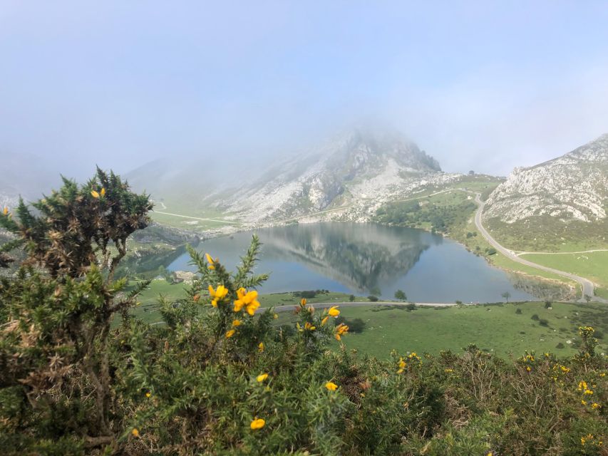 Covadonga and Lakes and Occidental Coast Private Tour - Lakes Enol and Ercina