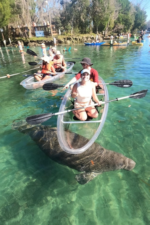 Crystal River: Springs and Manatees Clear Kayak Tour - Customer Reviews and Feedback