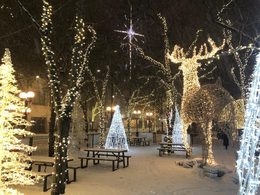 Dallas Holiday Splendor: A Festive Walk - Gerald J. Ford Stadium