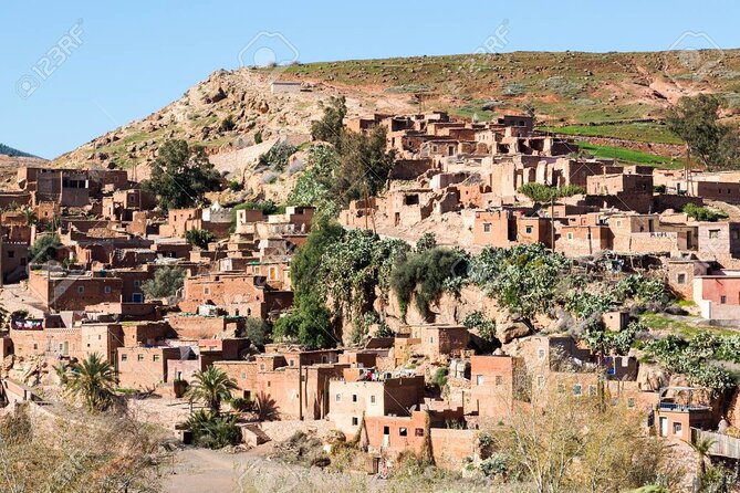 Day Excursion to Atlas Mountains From Marrakech - Professional Driver and Vehicle