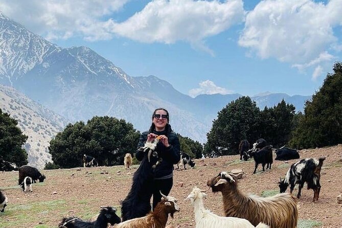 Day Hiking To Tawdja Summit in the Atlas Mountain - Berber Culture and Local Guides