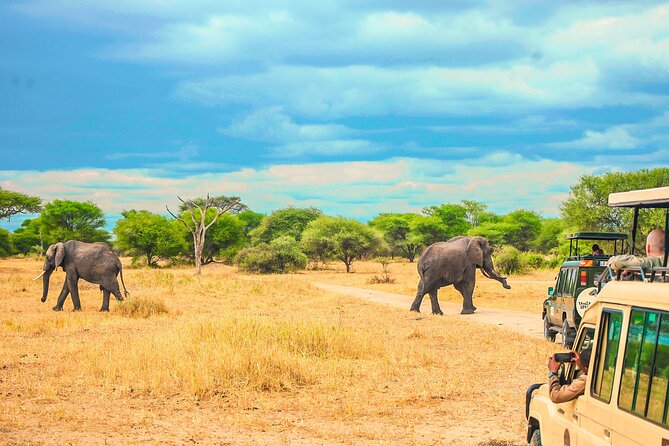 Day Safari Tour to Selous Game Reserve From Zanzibar - Accessibility and Fitness Requirements