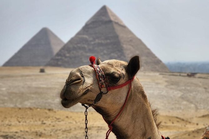 Day Tour to Giza Pyramids, Memphis City And Saqqara Pyramid - Memphis City Discovery