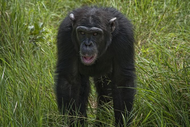 Day Tour to Ol Pejeta Conservancy - Tour Logistics