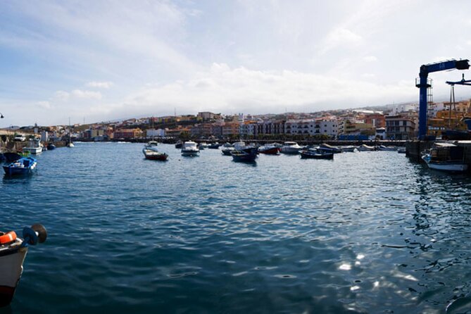 Day Tour With Official Guide Around the Island of Tenerife - Accessibility and Transportation