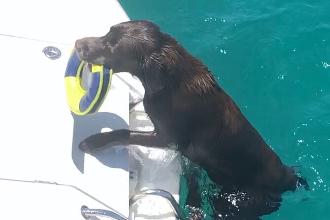 Day Trip on a Sailing Catamaran in Sardinia - Logistics and Meeting Point