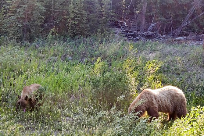 Day-Trip To Skagway - Gateway to the Klondike Goldrush - Inclusions