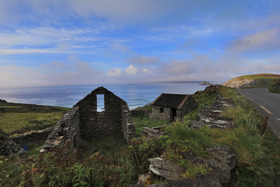 Dingle Day Tour From Limerick - Included in Tour