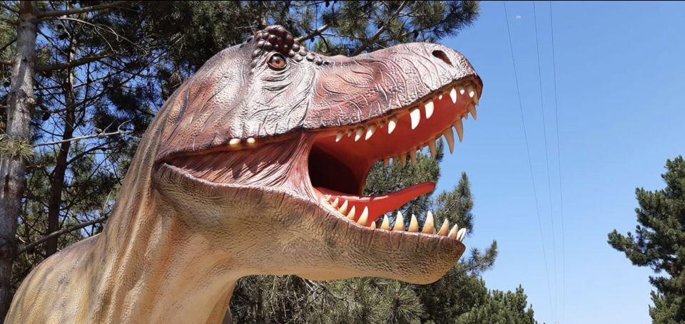 Dinosaurs Park - Family Half Day Tour - Dino Parque Exploration