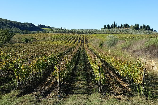 Discover Chianti Through Its Wines - Sampling the Tasting Menu