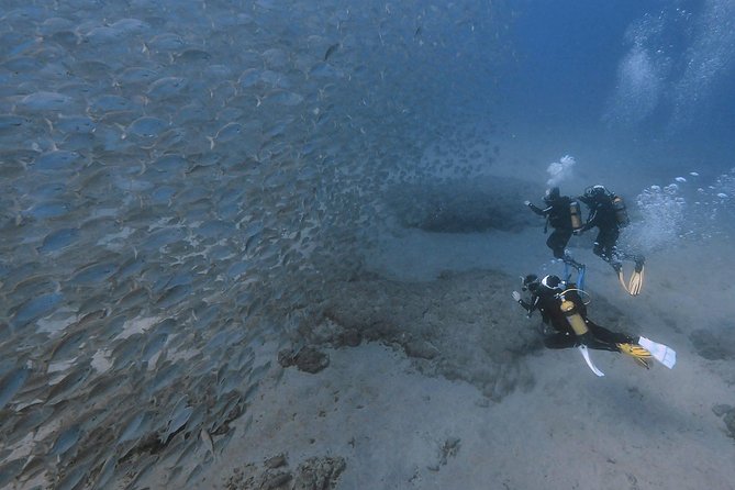 Discover Scuba Diving in Puerto De Mogan - Equipment Included