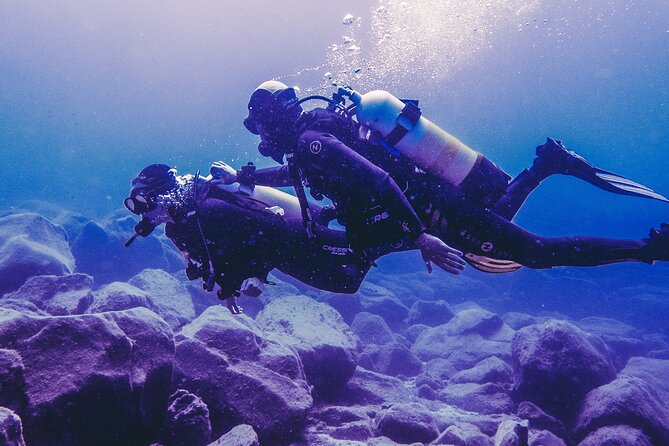 Discover Scuba Diving, Tenerife. Photos and Videos Included - Meeting and Pickup Location